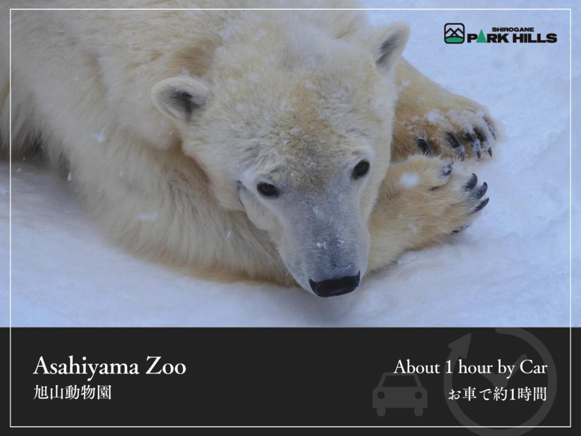 Biei Shirogane Onsen Hotel Park Hills Exteriör bild