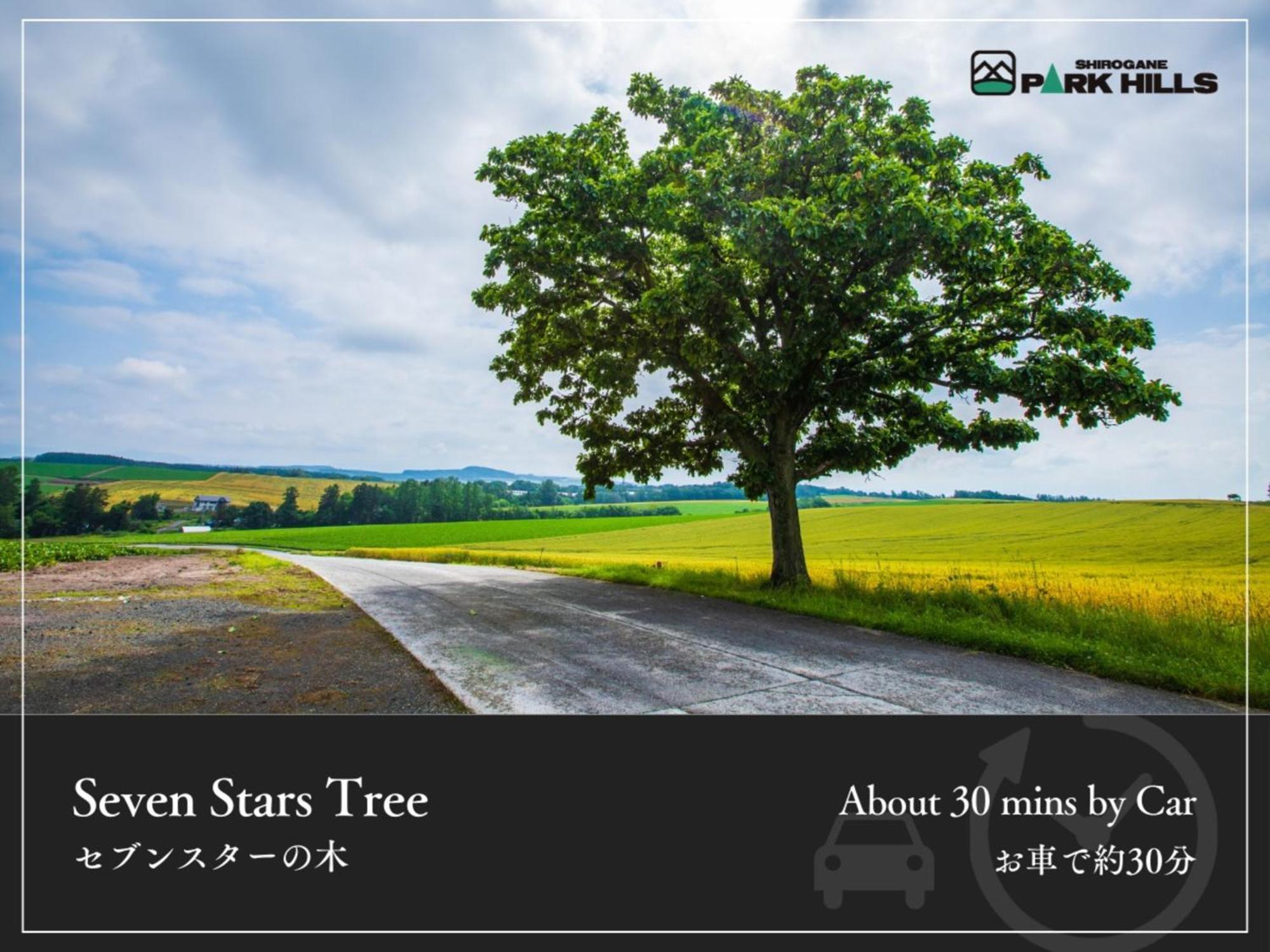 Biei Shirogane Onsen Hotel Park Hills Exteriör bild